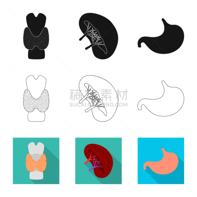 生物学,科学,计算机图标,酸,健康保健,整形器具,人类骨架,胃,背的，脊的,研究