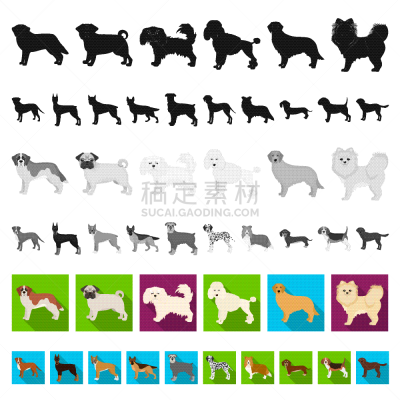 狗,式样,计算机图标,平坦的,华丽的,纯种犬,大麦町,梗犬,收集