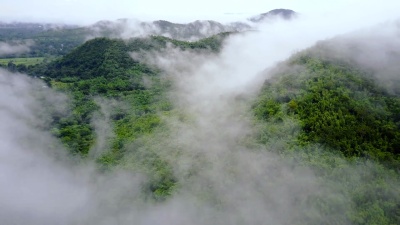 在泰国Ratchaburi省， 空中拍摄流过山脉的雾卷。