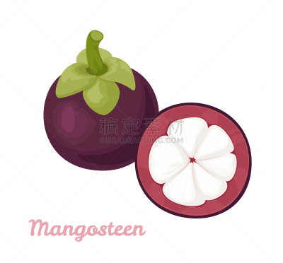 完整,卡通,山竹,矢量,扁平化设计,食品,绘画插图,计算机图标,一半的,热带水果