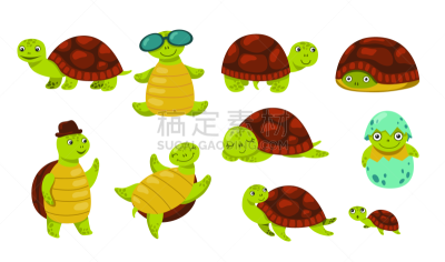 幽默,龟,可爱的,背景分离,世界遗产,野生动物,环境,海龟,小的,动物
