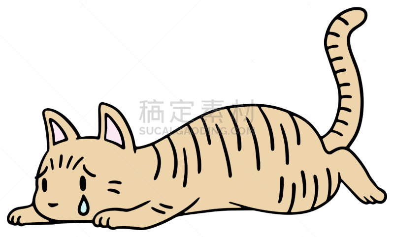 矢量,绘画插图,猫,惊骇,十二生肖,恐怖,简单,动物,宠物商店