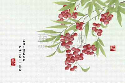 菜豆,背景,植物,水墨画,艺术,自然,红色,高雅,图像,豆