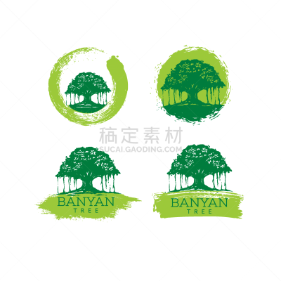 banyan tree holistic healing design element