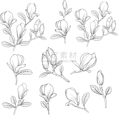 化学元素周期表,分离着色,白色,鸡尾酒,自然,季节,花,布置,捆,收集