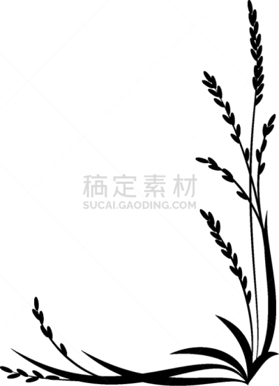 背景,稻,农业,谷物,摆拍,食品,农场,稻田,植物,剪影