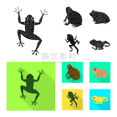 野生动物,藓沼,品牌名称,生物学,有毒物质,青蛙,动物,牛蛙,尾巴,布置