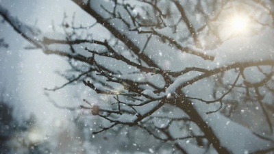 冬季景观| |可循环