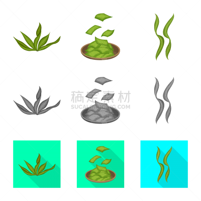 分离着色,海洋,豆腐,符号,一个物体,素食,食品,营养品,维生素,草