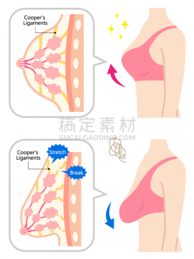 身体保养,美,半身像,概念,女人,自然美,羊毛帽,白色背景,衰老过程,遮住脸