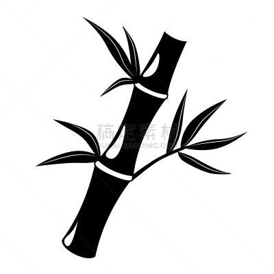 药,模板,植物,自然,符号,概念,竹,矢量,商务