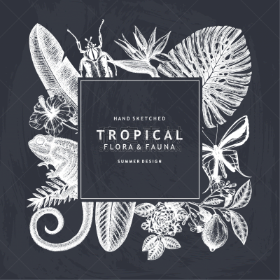 tropical wreath design on chalkboard invitation
