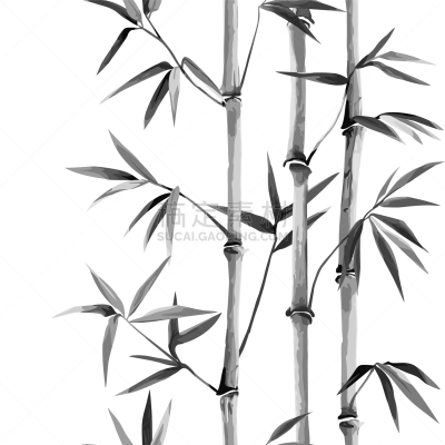 白色,垂直画幅,竹,国境线,壁纸,植物群,人种,装饰物,植物