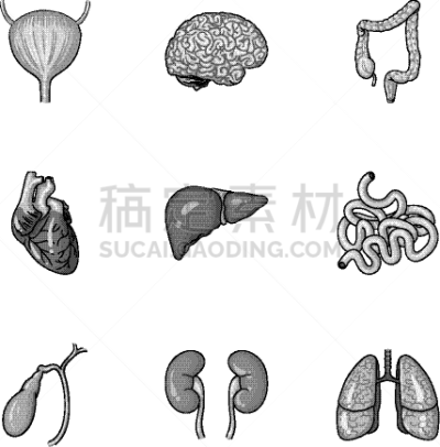 巨大的,计算机图标,时尚,单色调,分离着色,品牌名称,矢量,人,布置