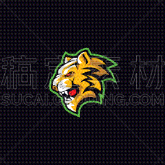 动物头,虎,自然,非洲,热带雨林,图像,猎豹,大型猫科动物,彪马,进攻