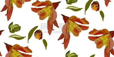 仅一朵花,四方连续纹样,百合花,可爱的,鸡尾酒,自然,高雅,纺织品,花,重复