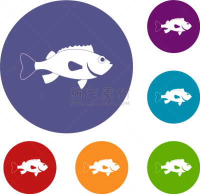 海洋,鲈,舞台,计算机图标,圆形,红色,绿色,蓝色,自然,收集