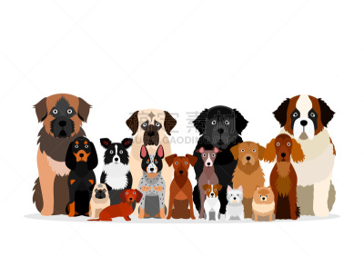 多样,狗,大群动物,可爱的,纯种犬,纽芬兰犬,背景分离,爱尔兰长毛猎犬,灰猎犬,刚毛小猛犬
