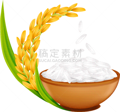 稻,矢量,绘画插图,泰国文化,分离着色,农业,传统,自然界的状态,碳水化合物,面包