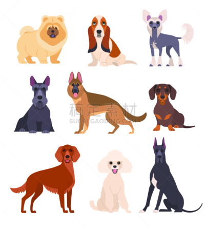 狗,垂直画幅,褐色,绘画插图,巨大的,性格,卡通,爱尔兰长毛猎犬,德国牧羊犬,白色