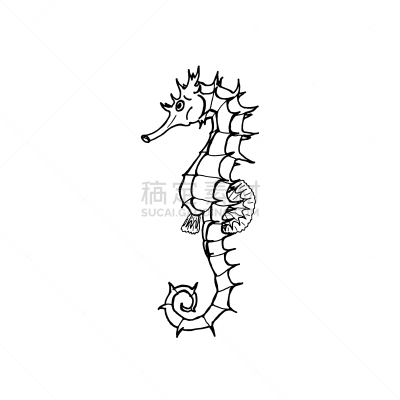 海马,动物手,书,图像,性格,动物,品牌名称,绘制,剪影,着色