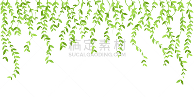 垂直画幅,叶子,矢量,绿色,国境线,分离着色,手提篮,华丽的,常春藤,清新