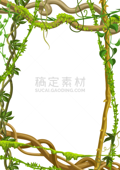 枝,野生植物,藤蔓植物,边框,环境,野生动物,植物群,公园,植物,缠绕
