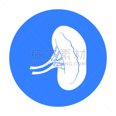 分离着色,白色,黑色,人类肾脏,时尚,计算机图标,生物学,健康保健,人,生病