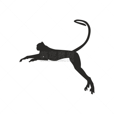 猴子,分离着色,可爱的,轮廓,白色,自然,动物园,野生动物,图像,剪影
