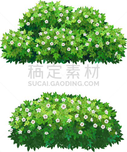 王冠,白色,灌木,绿色,华丽的,景观设计,环境,树木造型,花,树