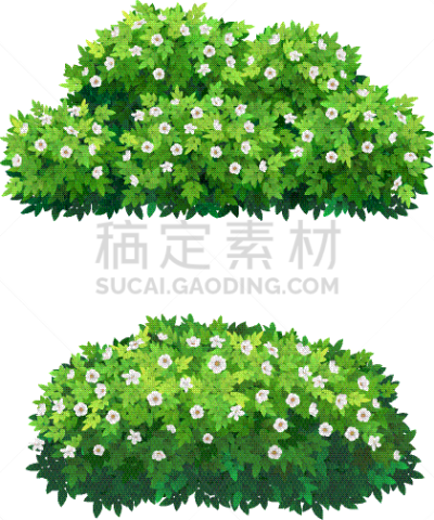 王冠,白色,灌木,绿色,华丽的,景观设计,环境,树木造型,花,树