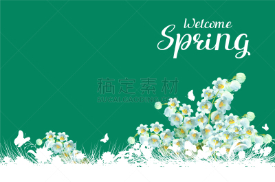 春天,山谷,百合花,贺卡,模板,草,自然美,雕刻图像,白色,问候