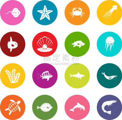 大群动物,海洋生命,可爱的,图像,鲽,水母,海洋,鲸,海豚,收集