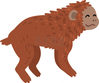 猴子,猿,动物,舞台,起源,生物学,人属,灵长目,哺乳纲,进展