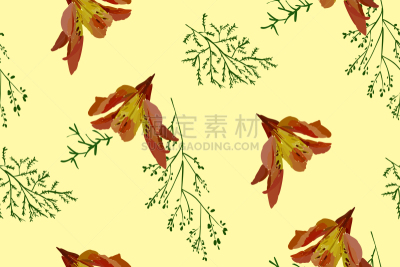 百合花,仅一朵花,四方连续纹样,可爱的,纺织品,植物群,小的,Lily Flower,花,复古