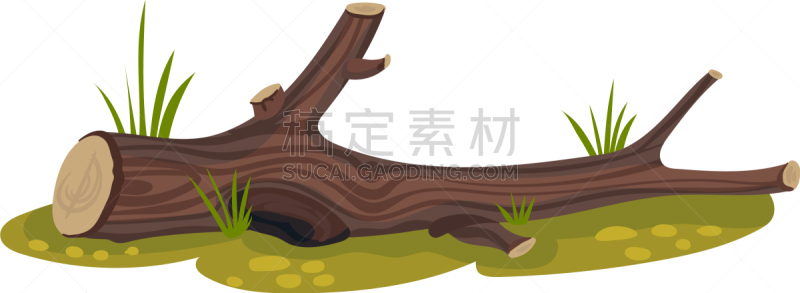 草地,撒谎者,巨大的,断枝,柴火,环境,草,棍,圆木,木制