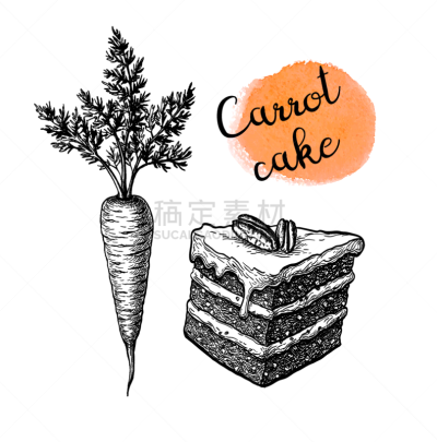 ink sketch carrot cake