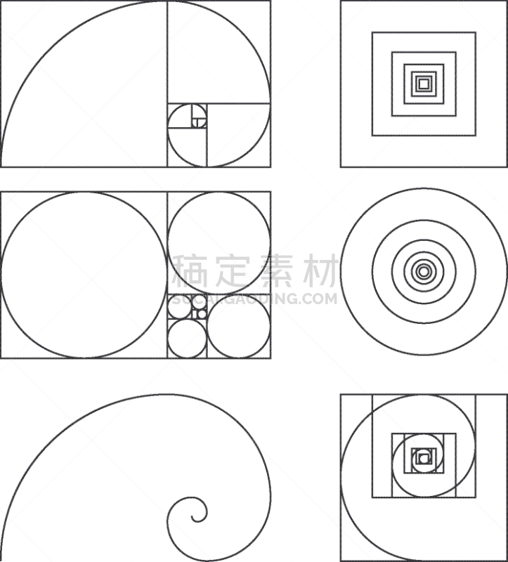 模板,黄金分割,达芬奇,白色,螺线,比例,黄金,概念,图像,弯曲
