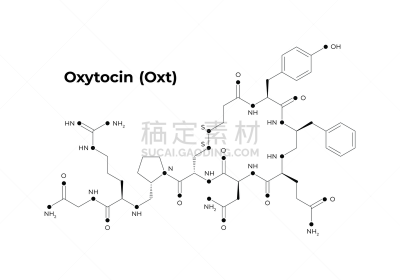 矢量,科学,极简构图,荷尔蒙,分离着色,模板,催产素,黑色,连接,教育