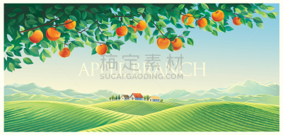 枝,地形,平衡折角灯,苹果树,饮料,农业,葡萄酒,苹果酒,菜园,食品