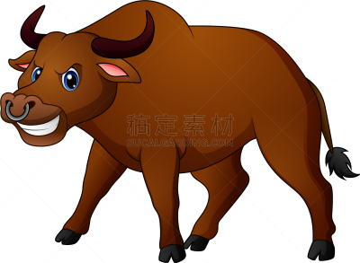 不高兴的,公牛,卡通,野牛,分离着色,可爱的,红色,牲畜
