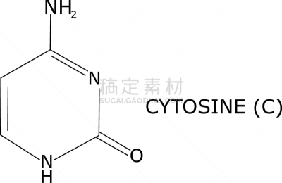 脱氧核糖核酸,分子结构,分离着色,四个物体,品牌名称,数字1,白色背景