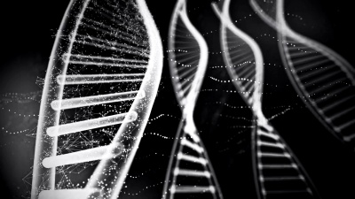 DNA分子可环- 
