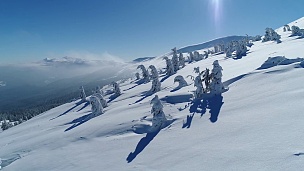 飞越白日阳光照耀下的青松石色雪山