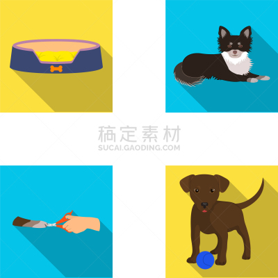 宠物,爪,兽医,分离着色,镊子,图像,座位,门诊部,狗,收集