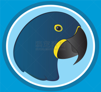 鹦鹉,可爱的,自然,野生动物,宠物,图像,矢量,南美,秘鲁,说话