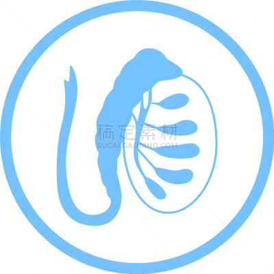 男性生殖系统,商务,健康保健,睾丸,门诊部,模板,品牌名称,人类的生殖器官,人类腺体
