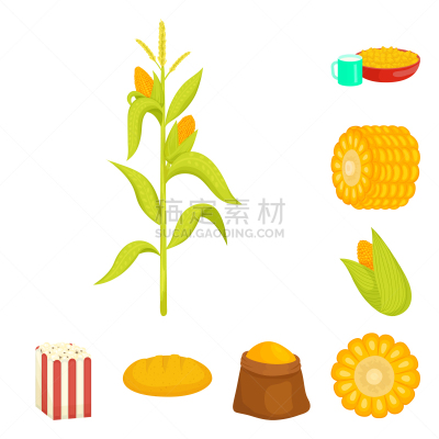 食品,甜玉米,符号,农业,蔬菜,热,谷物,清新,大桶,布置