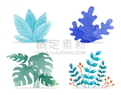 分离着色,叶子,多色的,高雅,平坦的,华丽的,复叶,干酪藤,银杏,布置