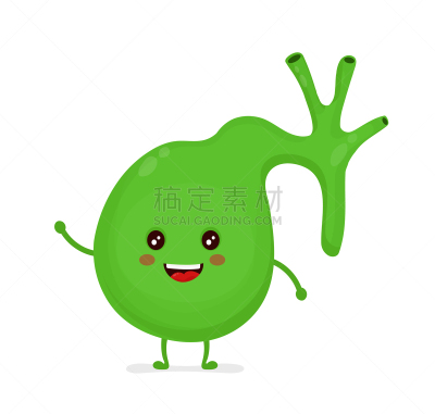 健康保健,性格,力量,胆囊,幸福,分离着色,可爱的,白色,生物学,人